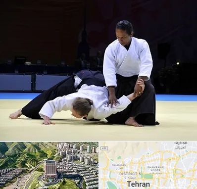 باشگاه آیکیدو در شمال تهران 