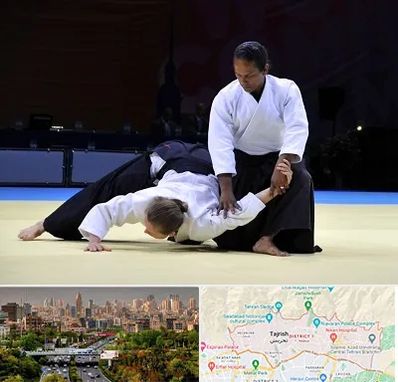 باشگاه آیکیدو در منطقه 1 تهران 