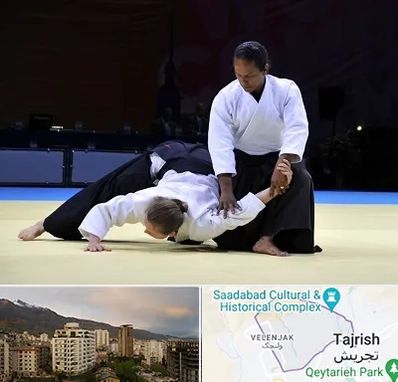 باشگاه آیکیدو در زعفرانیه 