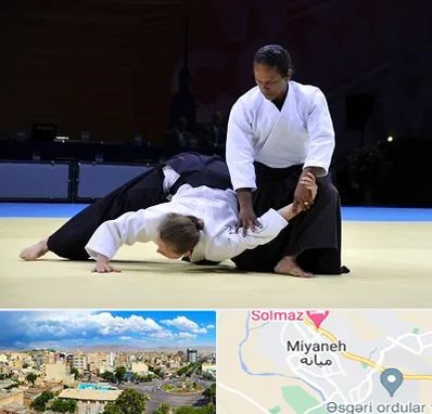 باشگاه آیکیدو در میانه