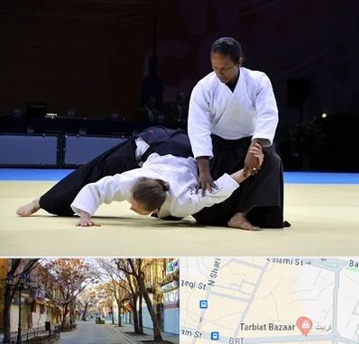 باشگاه آیکیدو در تربیت تبریز