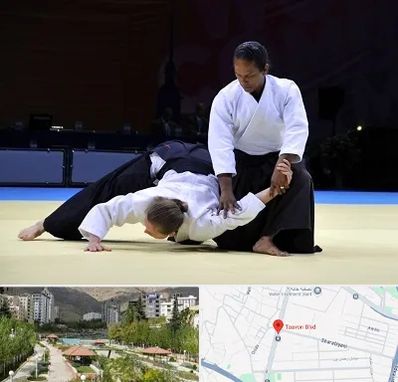 باشگاه آیکیدو در بلوار تعاون