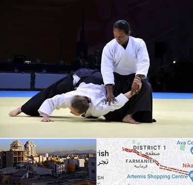 باشگاه آیکیدو در فرمانیه 