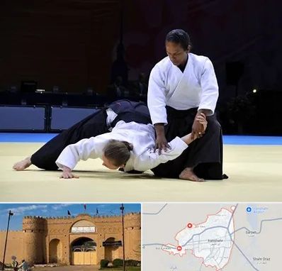 باشگاه آیکیدو در ایرانشهر