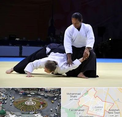 باشگاه آیکیدو در فردیس کرج 