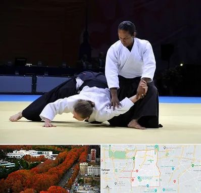 باشگاه آیکیدو در منطقه 6 تهران 