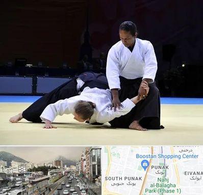 باشگاه آیکیدو در پونک 