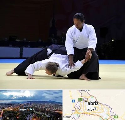 باشگاه آیکیدو در تبریز