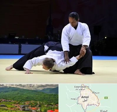 باشگاه آیکیدو در آمل