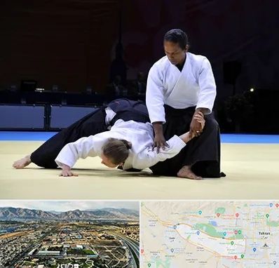 باشگاه آیکیدو در منطقه 21 تهران 