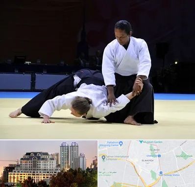 باشگاه آیکیدو در فرشته 