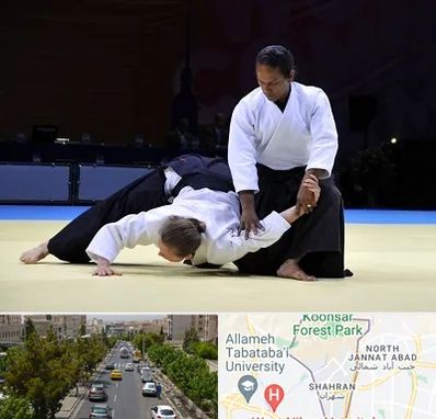 باشگاه آیکیدو در شهران 