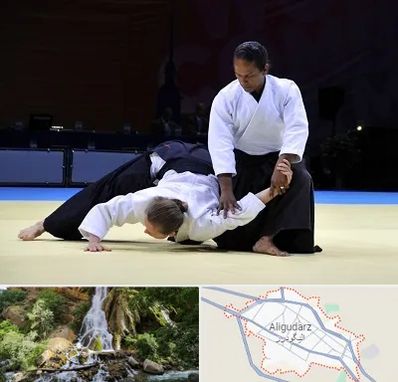 باشگاه آیکیدو در الیگودرز