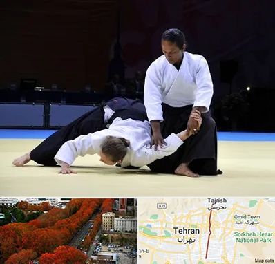 باشگاه آیکیدو در ولیعصر 