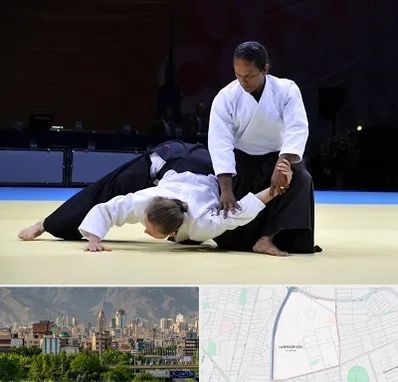 باشگاه آیکیدو در جمشیدیه