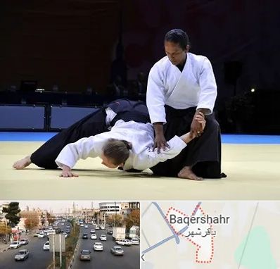 باشگاه آیکیدو در باقرشهر