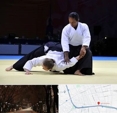 باشگاه آیکیدو در ابوریحان تبریز