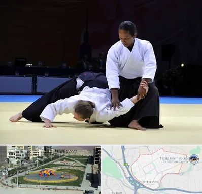 باشگاه آیکیدو در مرزداران تبریز