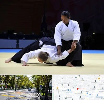 باشگاه آیکیدو در میرداماد 