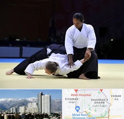 باشگاه آیکیدو در شهرک غرب 