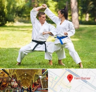 باشگاه هاپکیدو در بازار وکیل شیراز