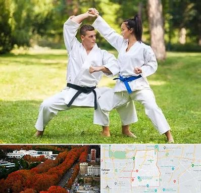 باشگاه هاپکیدو در منطقه 6 تهران 