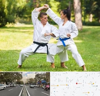 باشگاه هاپکیدو در دولت