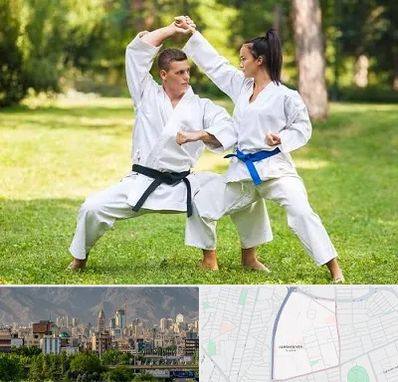 باشگاه هاپکیدو در جمشیدیه