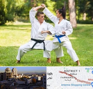 باشگاه هاپکیدو در فرمانیه 