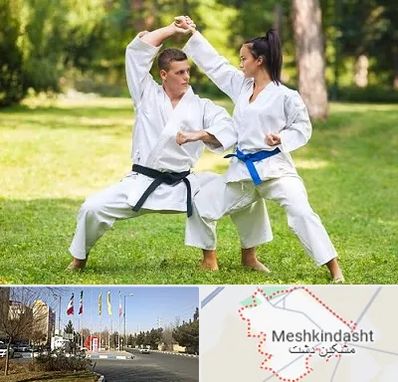 باشگاه هاپکیدو در مشکین دشت