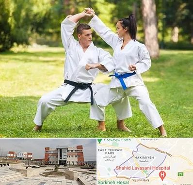 باشگاه هاپکیدو در حکیمیه 