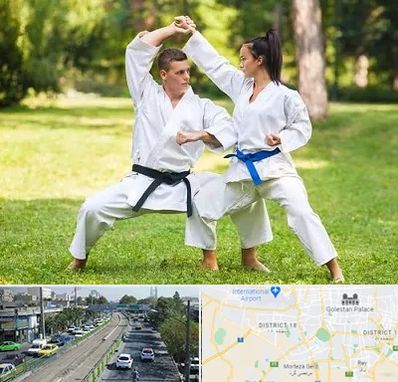 باشگاه هاپکیدو در جنوب تهران 