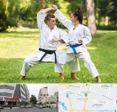 باشگاه هاپکیدو در بلوار فردوس 