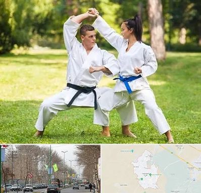 باشگاه هاپکیدو در نظرآباد کرج