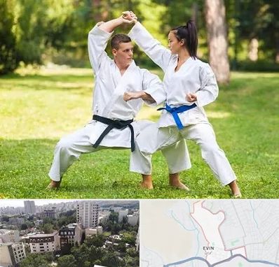 باشگاه هاپکیدو در اوین