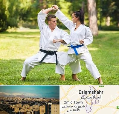 باشگاه هاپکیدو در اسلامشهر