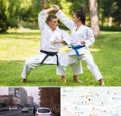 باشگاه هاپکیدو در کارگر شمالی 