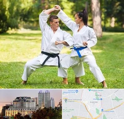 باشگاه هاپکیدو در فرشته 