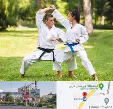 باشگاه هاپکیدو در هروی 