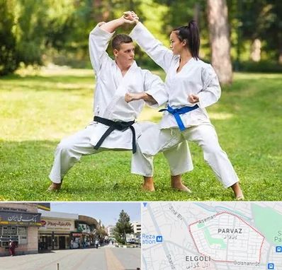 باشگاه هاپکیدو در پرواز تبریز