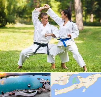 باشگاه هاپکیدو در قشم