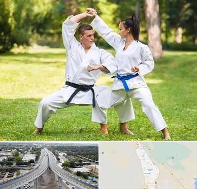 باشگاه هاپکیدو در اندیمشک