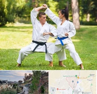 باشگاه هاپکیدو در باغستان کرج