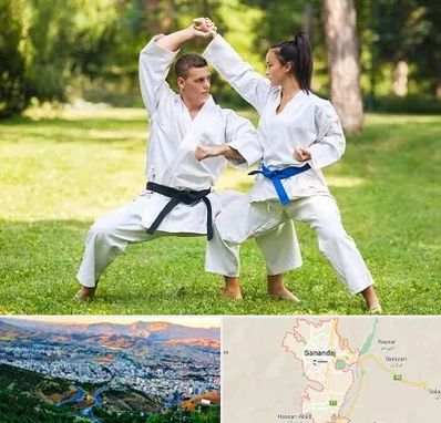 باشگاه هاپکیدو در سنندج