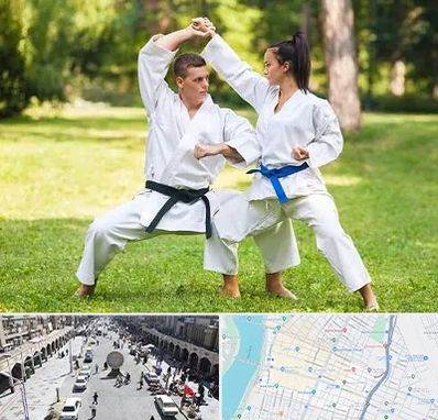 باشگاه هاپکیدو در نادری اهواز