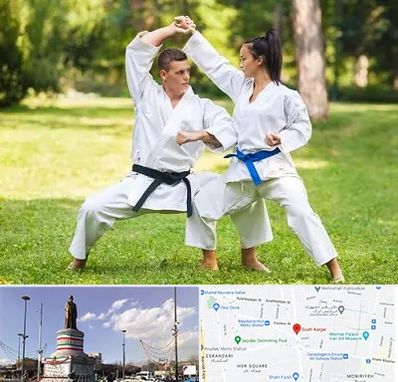 باشگاه هاپکیدو در کارگر جنوبی 