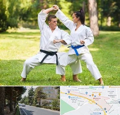 باشگاه هاپکیدو در مهرویلا کرج