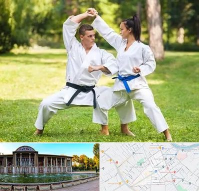 باشگاه هاپکیدو در عفیف آباد شیراز