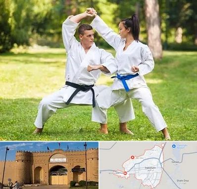 باشگاه هاپکیدو در ایرانشهر