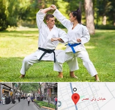 باشگاه هاپکیدو در ولیعصر شهریار